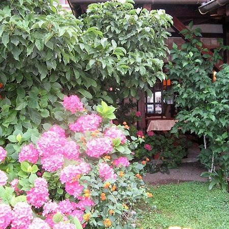 Guest House Zlatibor Budva Exteriör bild