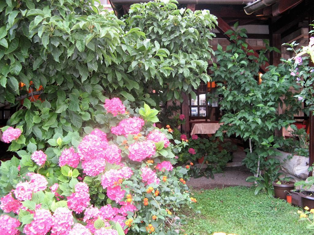 Guest House Zlatibor Budva Exteriör bild